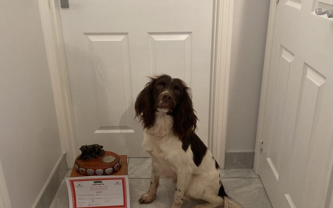 FTW/OFTAW FUSELEA IDRIS