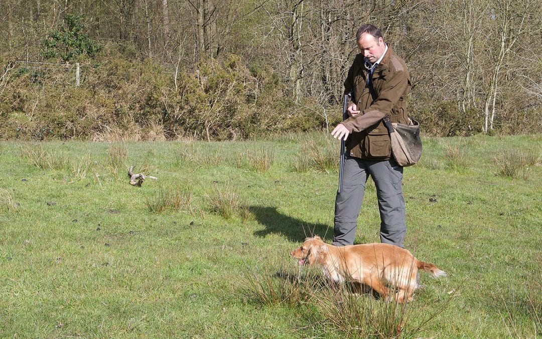 An interview with Will Clulee – Part 2: Breeding & Training