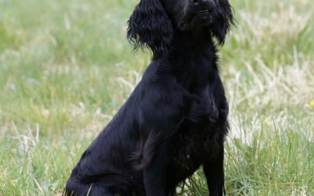 MATRIXGLEN TRUFFLE