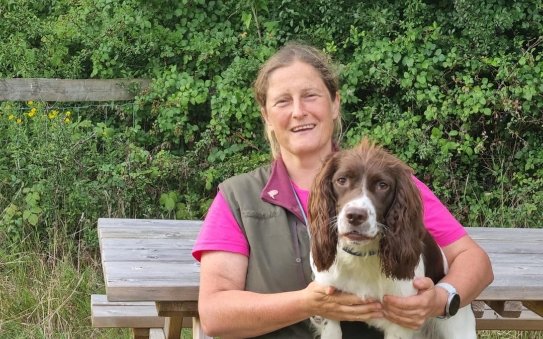 A History of Health Testing in English Springer Spaniels and Why We Need to Test Today