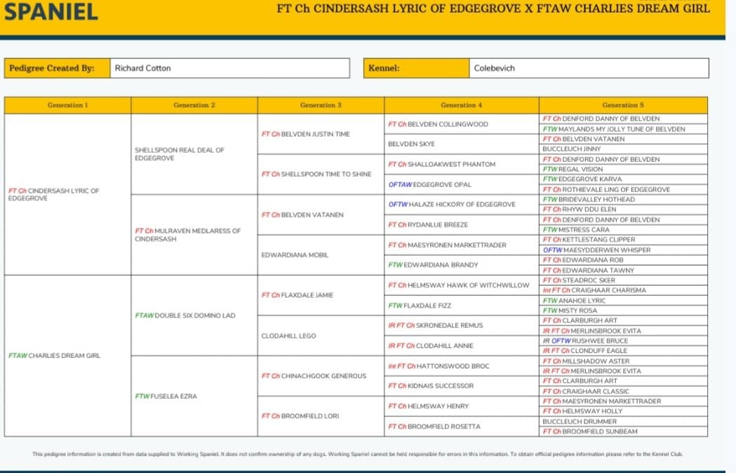FTCH x FTAW Bitch puppy avaliable.