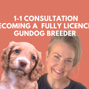 Becoming a Licensed Gundog Breeder - 1-1 Consultation