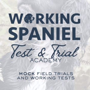Working Spaniel - Mock Working Tests with a difference.