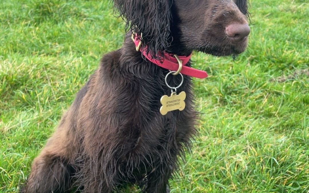 KENBLOOM DIAMOND GESTURE