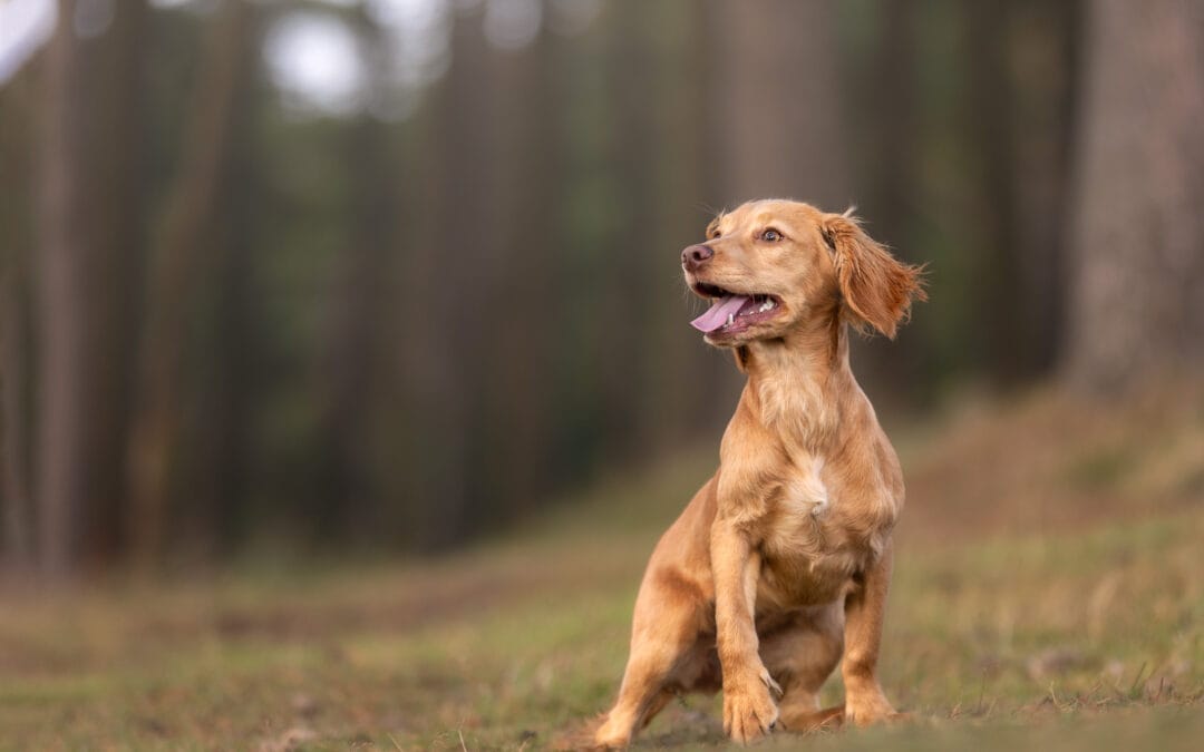 GLENHEART SHE KEEPS ME UP