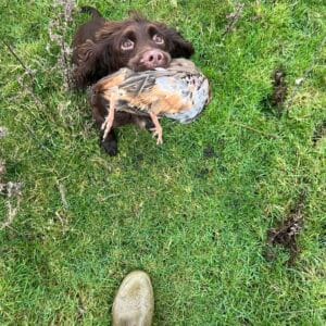 Training Day - Partridge