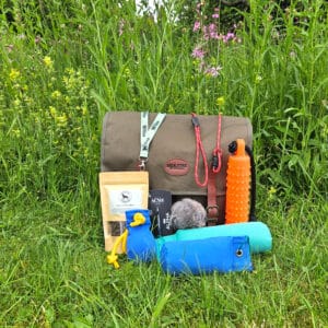 Gundog Equipment