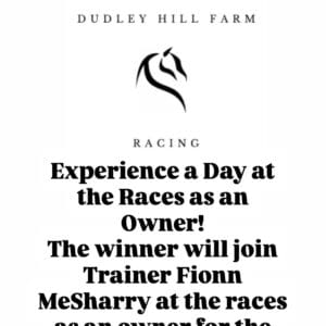 A Day at the Races (6 People)