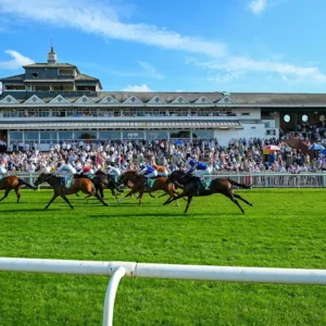 A Day at the Races (2 People)   - Premium Tickets